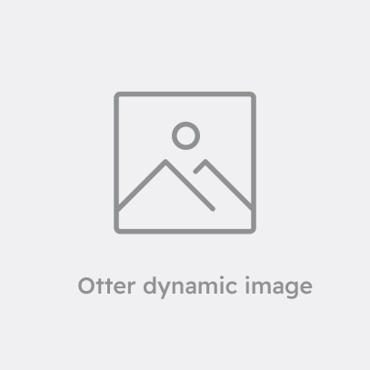 Sizzling steak plate from sarapoi