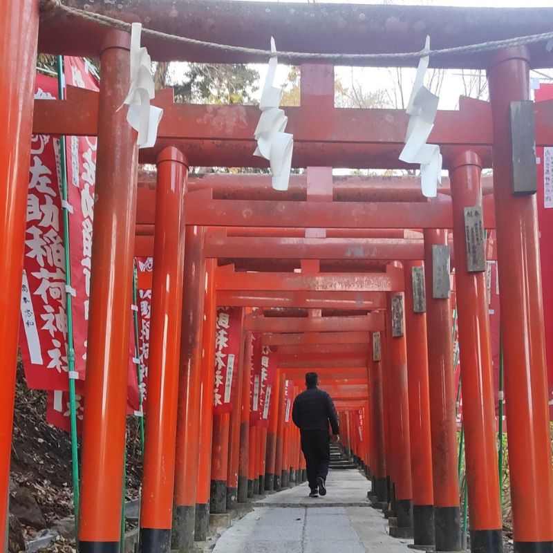 Sasuke Inari Shrine in Kamakura: Why This Place Feels Like a Secret You Accidentally Unlocked 4 Sasuke Inari Shrine in Kamakura: Why This Place Feels Like a Secret You Accidentally Unlocked